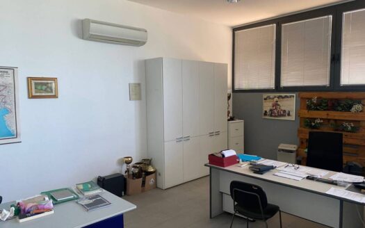 CAPANNONE DA 105O MQ CON 3000 MQ DI AREA ESTERNA